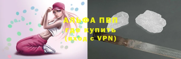 apvp Аркадак