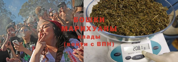 apvp Аркадак