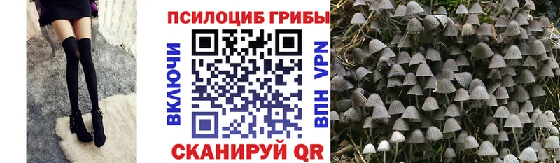 Псилоцибиновые грибы GOLDEN TEACHER  Электрогорск 
